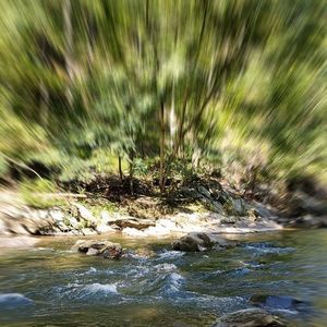 Meet your Posher, Timothy